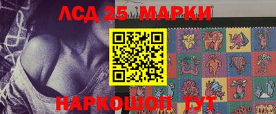 гашик Будённовск