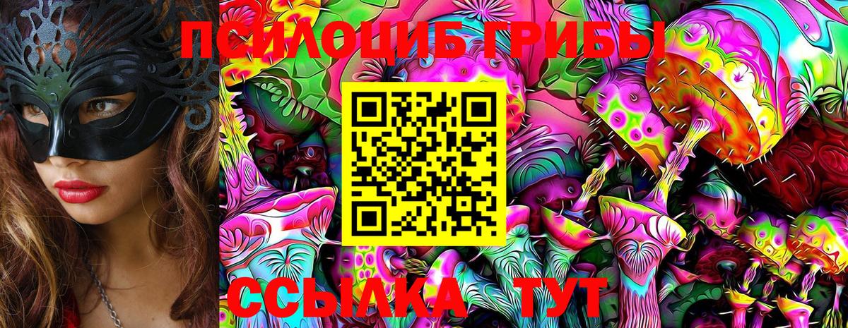Псилоцибиновые грибы прущие грибы Родники