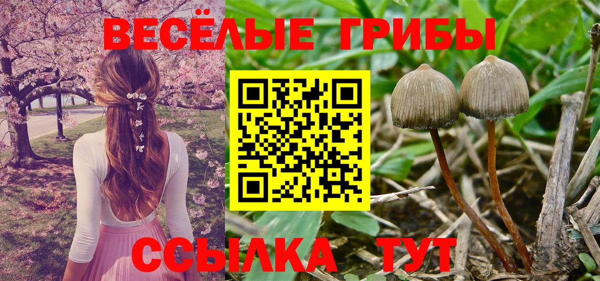 Родники  Псилоцибиновые грибы мицелий  Вход с VPN 